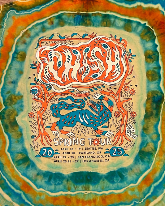 Official Phish Spring Tour Tee (2XL)