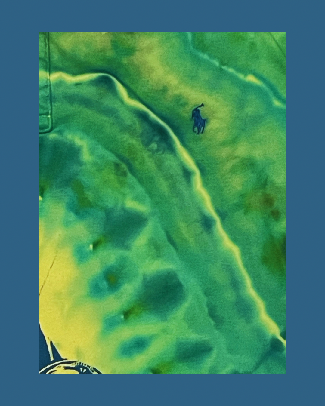 04 Ralph Lauren polo dye - snakebootzvtg gd print  (xl)