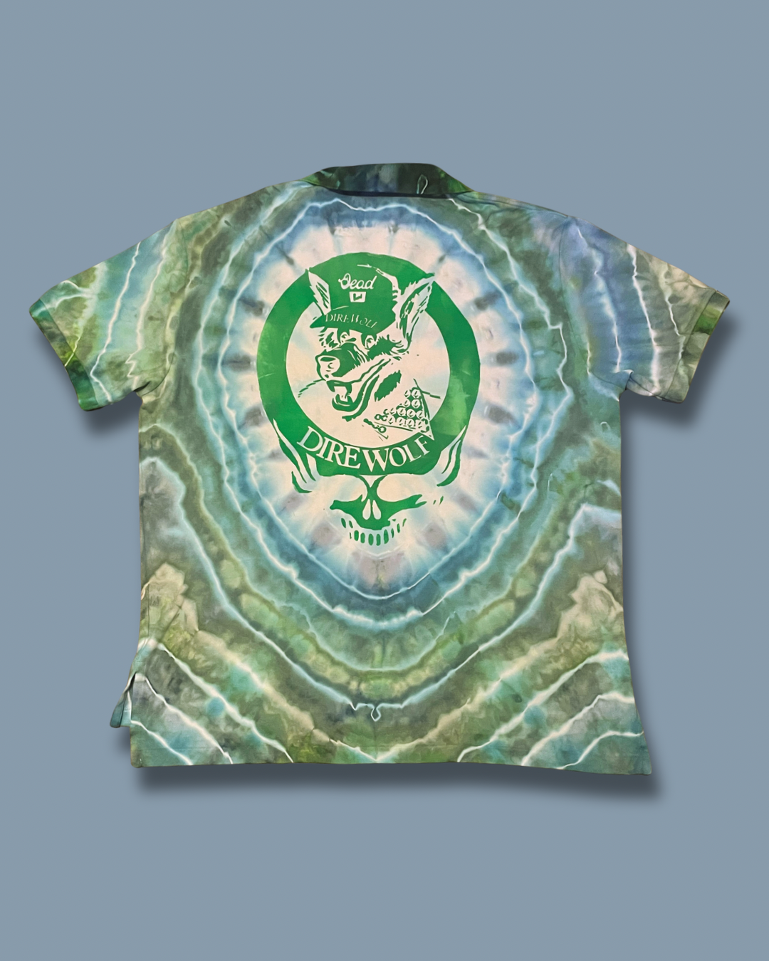 04 Ralph Lauren polo dye 2- snakebootzvtg gd print  (xl)