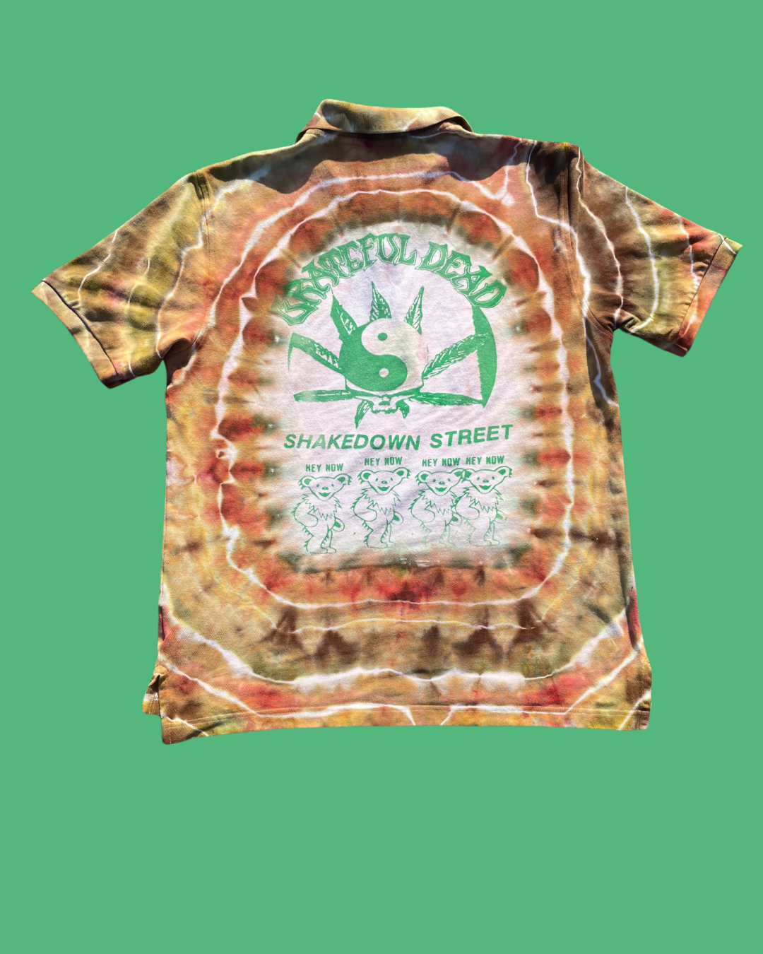 05 earth my brooks brothers polo dye with snakebootzvtg gd print  (large)